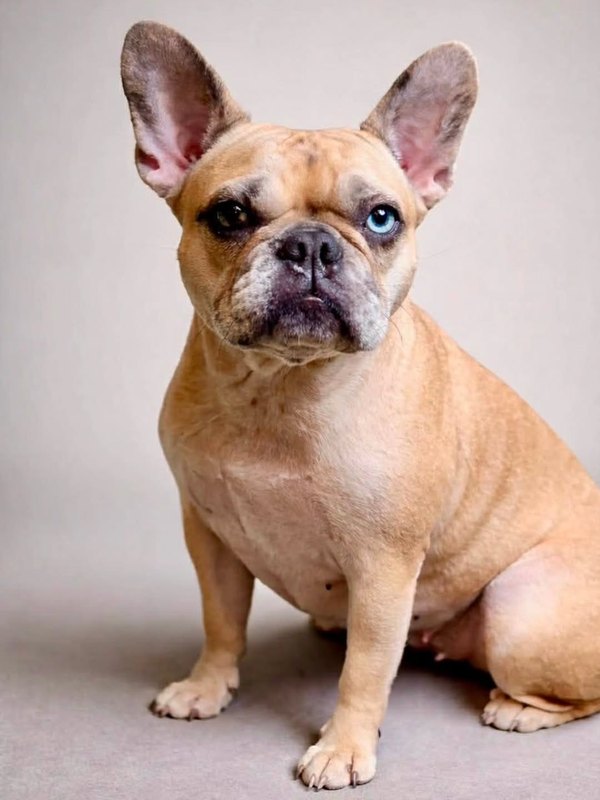 The phone photograph Cali's portrait was painted from